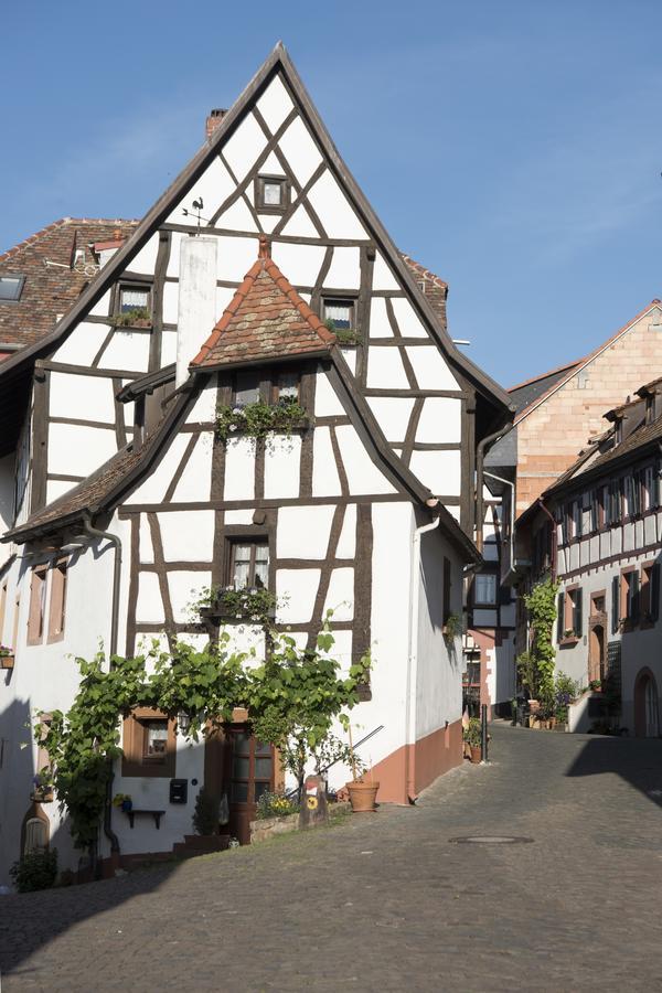 Burggarten Appartements Neuleiningen Ngoại thất bức ảnh